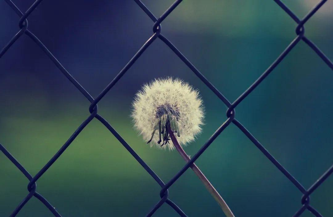 千万不要随便去算命和看风水了(图3)